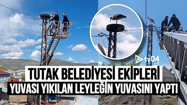Tutak'ta İtfaiyeden Leyleğe Yuva Desteği
