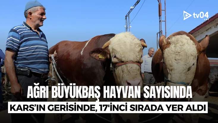 Ağrı'nın büyükbaş sayısı belli oldu: Kars'ın ardında dördüncü sıra