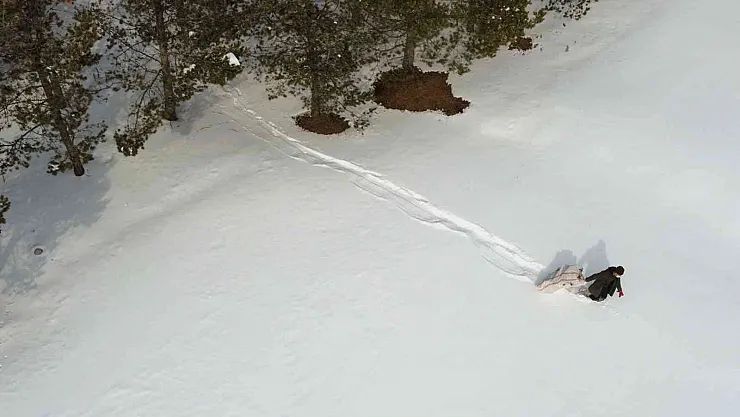 İlçede yaban hayatını unutmadı
