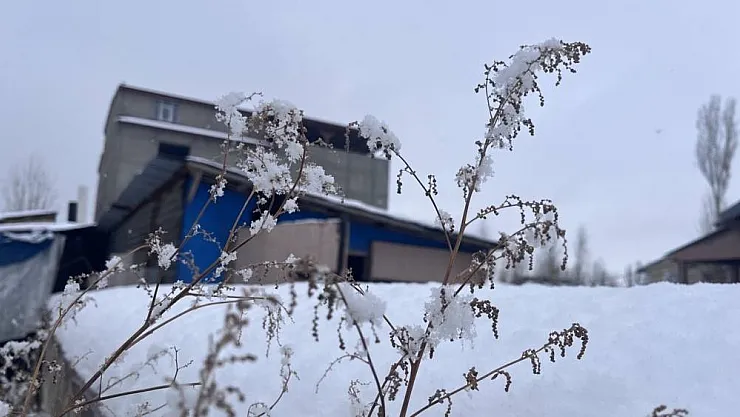 Ağrı, beyaz örtüsüyle göz kamaştırıyor