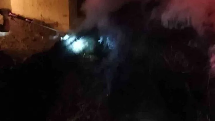 Van'da 150 balya ot yandı
