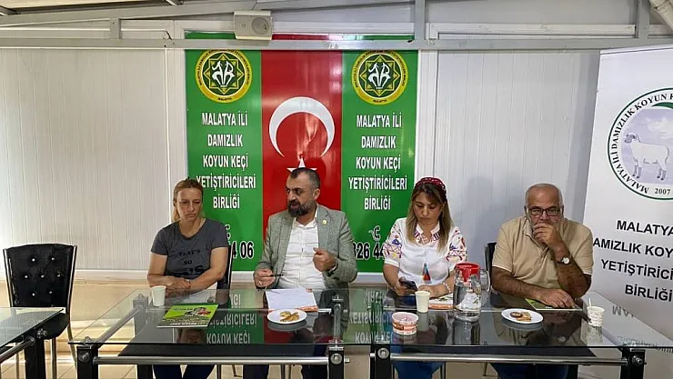Çoban yetiştiriciliği için kurs

