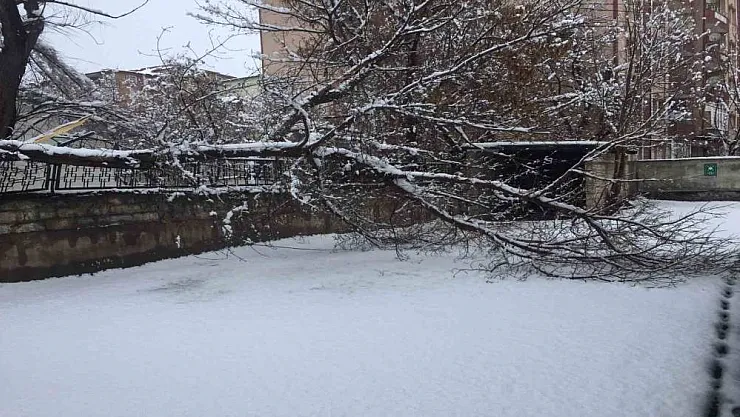 Ağrı'da bahar havası yerini kara bıraktı
