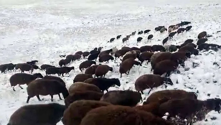 Iğdır'ın yüksek kesimlerine kar yağdı
