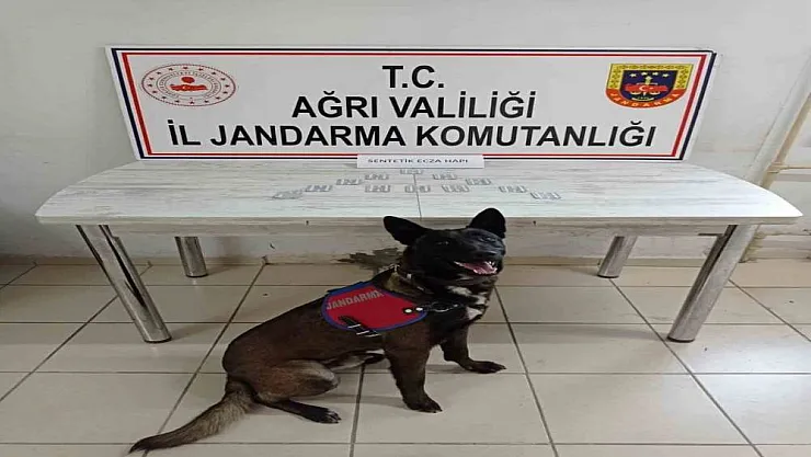 Ağrı'da yolcu otobüsünde uyuşturucu operasyonu: 1 gözaltı
