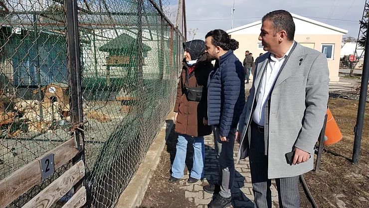 Baro heyeti hayvan barınağında incelemelerde bulundu
