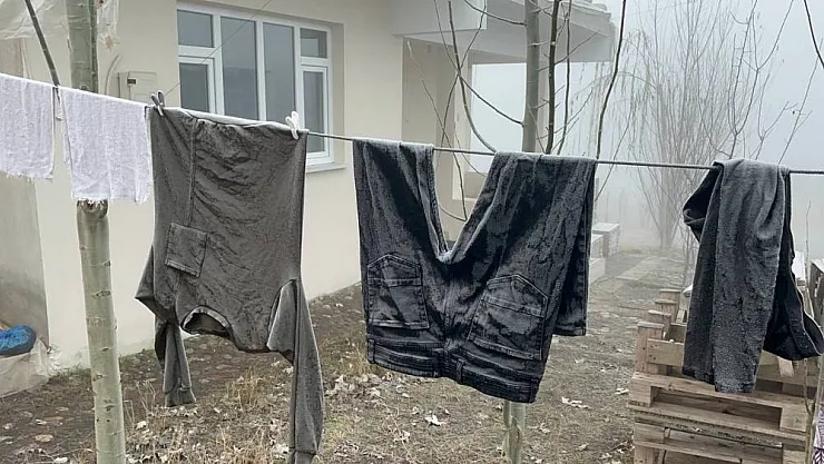 Kar olmayan Ağrı'da don yaşanıyor