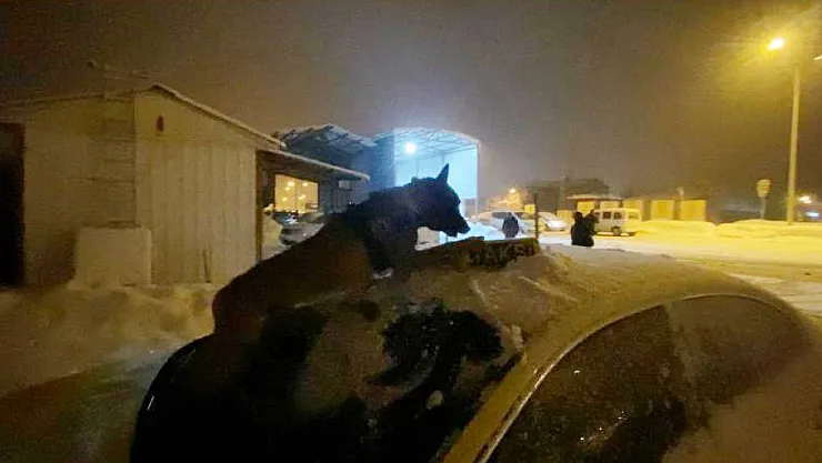 Taksinin tepe lambasını uyuşturucu zulasına çeviren 4 kişi yakalandı
