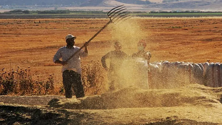 Tarımsal girdi fiyat endeksi ekimde yıllık yüzde 134,76 arttı

