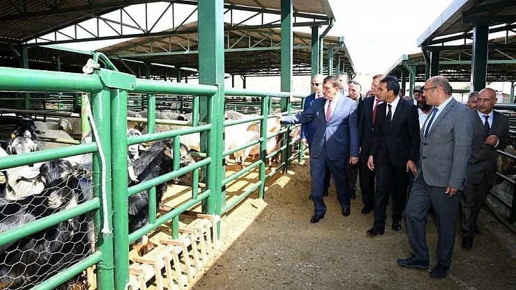 Malatya Hayvan Pazarı yenileniyor
