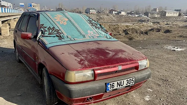 Ağrı'da don etkili oldu