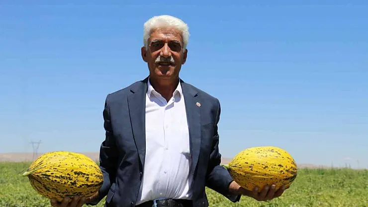 Yazıhan ovasında bereket artıyor
