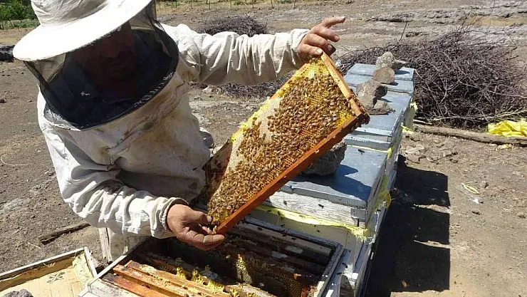 32 yıllık arıcından sahte bal uyarısı
