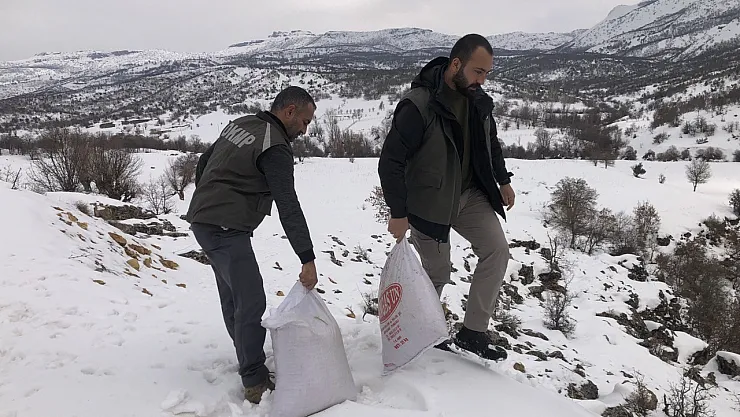 Tunceli'de yemleme ve denetim çalışmaları sürüyor
