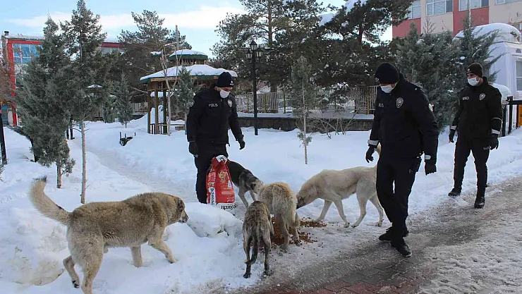 Polis ekiplerinden sokak hayvanlarına şefkat eli
