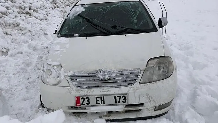 Yoldan çıkan otomobil kara saplandı: 3 yaralı
