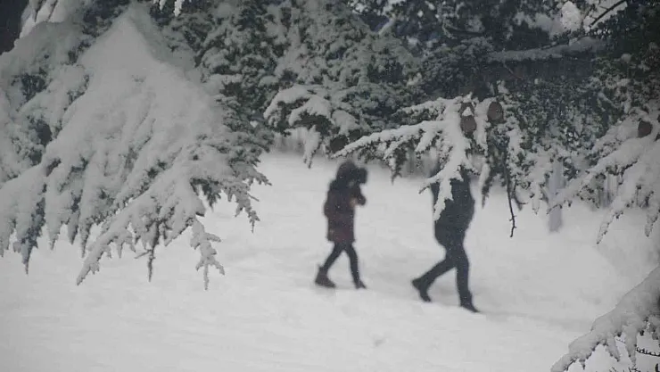Tatvan'da kar yeniden etkisini gösterdi
