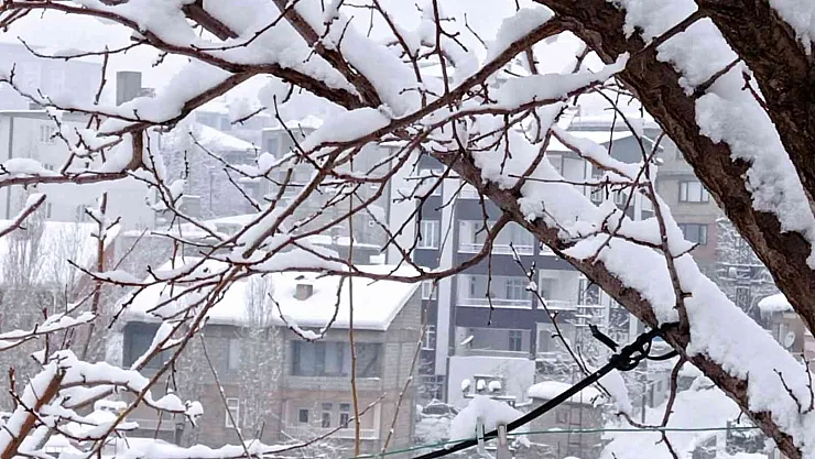 Hakkari'de 21 yerleşim yeri yolu ulaşıma kapandı

