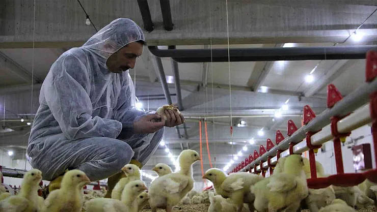 Şehir hayatından sıkıldı, devletten aldığı destek ile köye dönüp çiftlik kurdu
