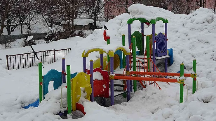 Bitlis'te 67 köy yolu ulaşıma kapandı