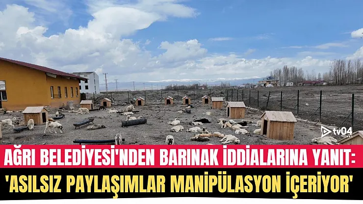 Ağrı Belediyesi'nden Barınak İddialarına Yanıt: 'Asılsız Paylaşımlar Manipülasyon İçeriyor'