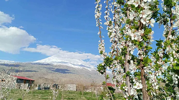 Ağrı'da 5 bin meyve ağacının bulunduğu bahçe dağcıların mola yeri oldu