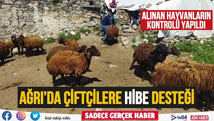 Ağrı'da çiftçilerin hibe desteği ile aldığı hayvanların kontrolü yapıldı