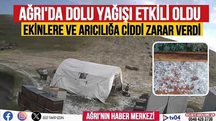 Ağrı'da dolu yağışı arıcılığa ve ekinlere zarar verdi
