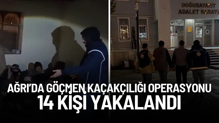 Ağrı'da Göçmen Kaçakçılığı Operasyonu: 14 Göçmen Yakalandı