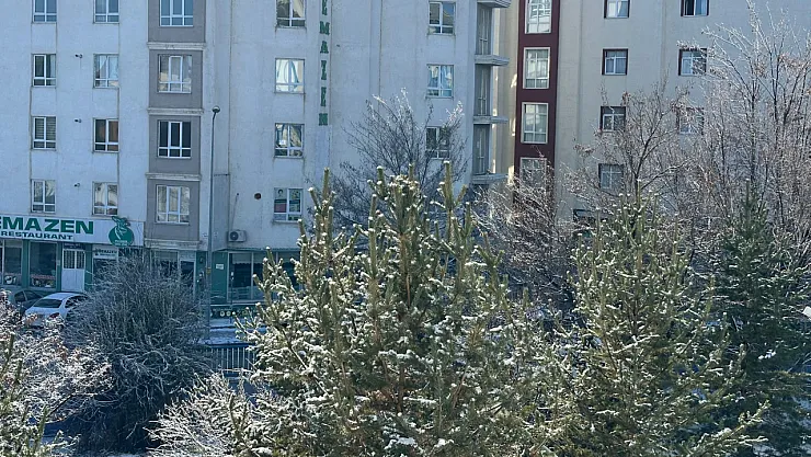 Ağrı'da kar yağışının ardından güneş açtı