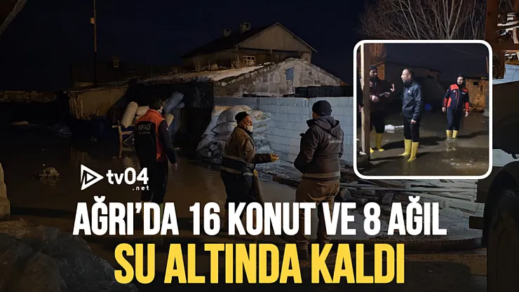 Ağrı'da Karların Erimesi Sonucu Su Baskını: 16 Konut ve 8 Ağıl Su Altında Kaldı