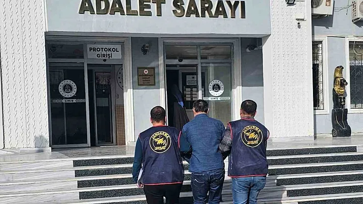 Ağrı'da Mercek-6 operasyonu: 15 tutuklama