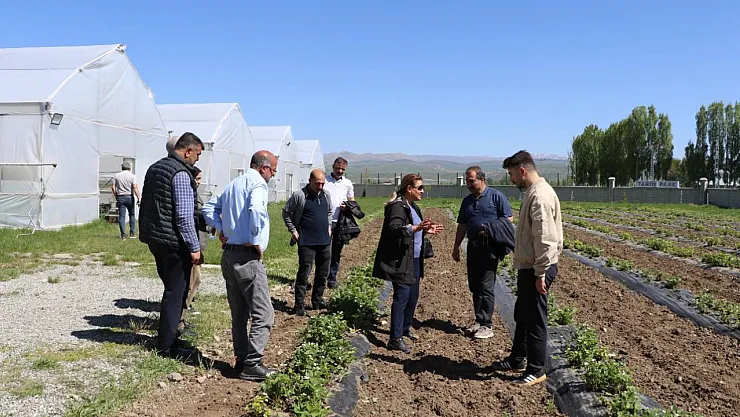 Ağrı'da Modern Tarım ve Sebze Yetiştiriciliği Eğitimi