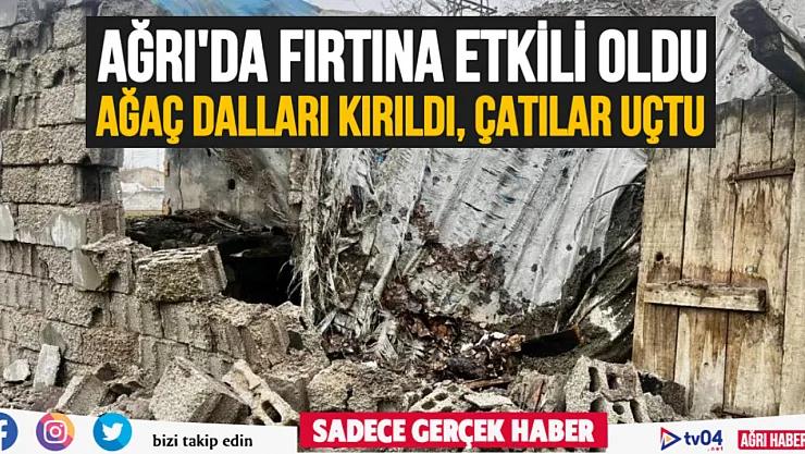 Ağrı'da şiddetli kar fırtınası etkili oldu