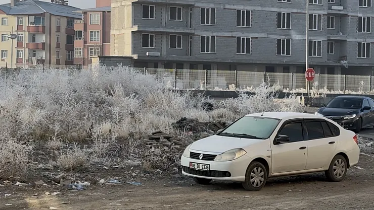 Ağrı'da Soğuklar Etkisini Artırdı: Ağaçlar Kırağı Tuttu, Araçlar Buzla Kaplandı