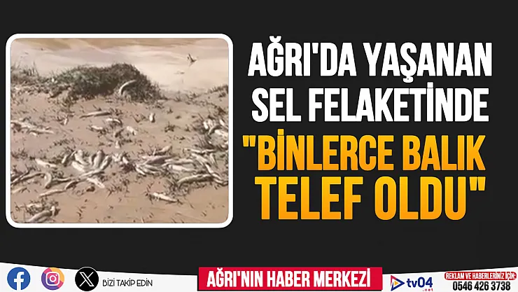 Ağrı'da yaşanan sel felaketinde binlerce balık telef oldu