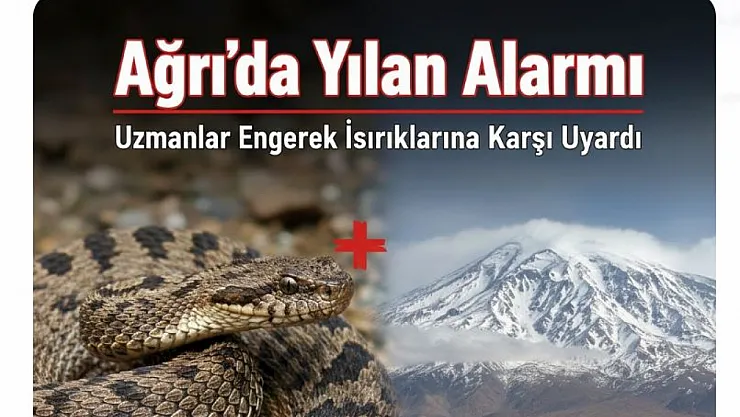 Ağrı'da Yılan Alarmı: Uzmanlar Engerek Isırıklarına Karşı Uyardı