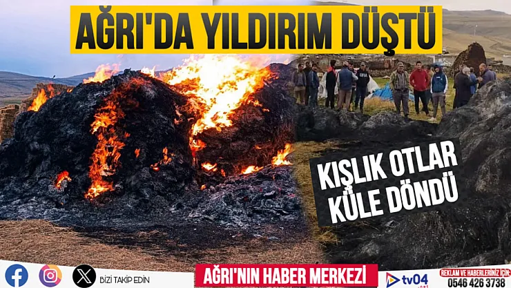 Ağrı'da yıldırımın düştüğü kışlık otlar kül oldu