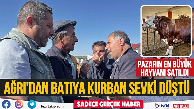 Ağrı'dan Batı illerine sevk edilen kurbanlık oranında düşüş yaşandı