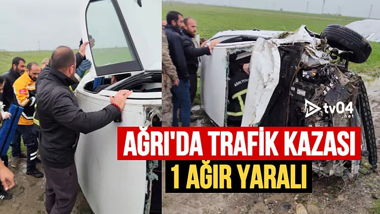 Ağrı Eleşkirt Uzunyazı Köyü Karşısında Trafik Kazası: 2 Yaralı