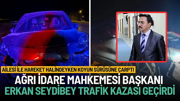 Ağrı İdare Mahkemesi Başkanı Erkan Seydibey Patnos'ta Trafik Kazası Geçirdi