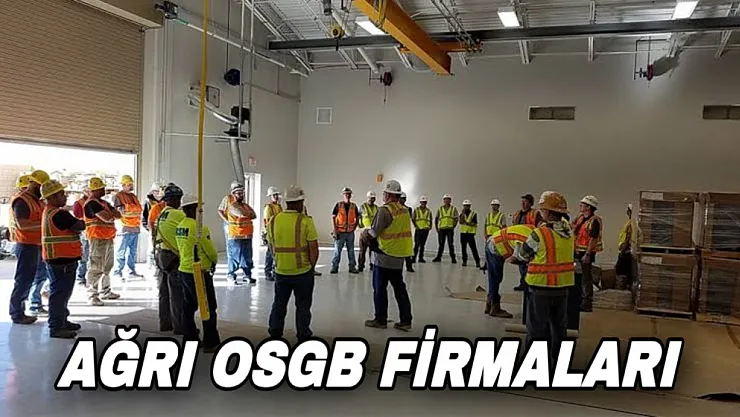 Ağrı OSGB firmaları hangileridir?