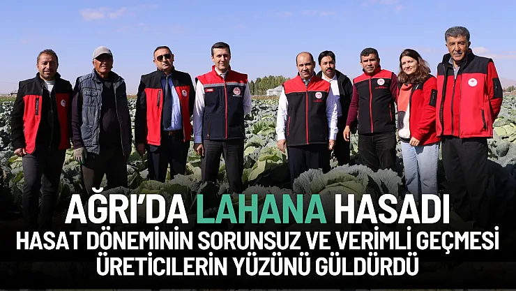 Ağrı Patnos'ta Bereketli Lahana Hasadı: Tarım Müdürlüğü Sahada