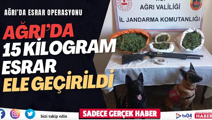 Ağrı'da 15 kilo esrar ele geçirildi