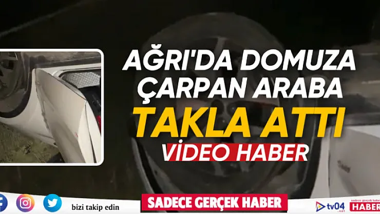 Ağrı'da domuza çarpan araba takla attı
