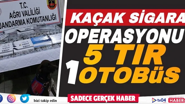 Ağrı'da kaçak sigara operasyonu: 5 tır ve 1 otobüse el konuldu
