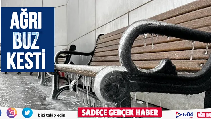 Ağrı'da kar yağışının ardından don etkili oldu