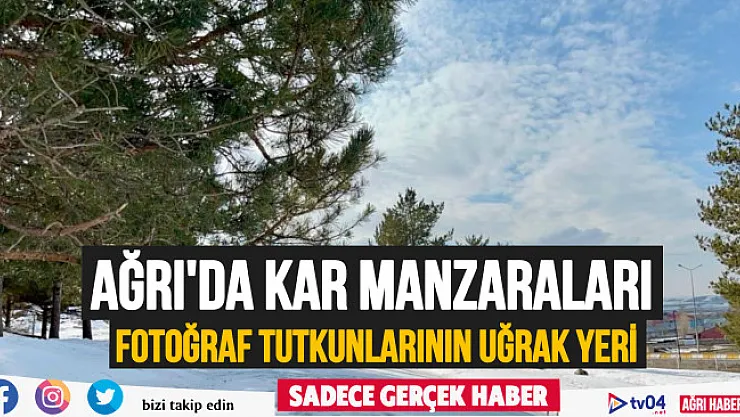 Ağrı'da kartpostallık kar manzaraları