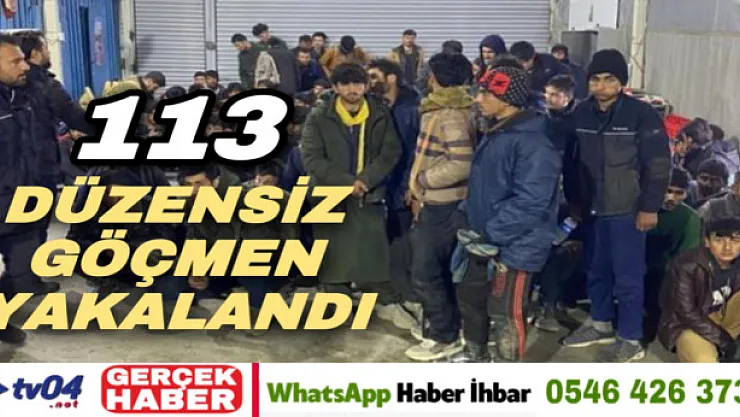 Ağrı'da kereste yüklü kamyonda 113 göçmen yakalandı