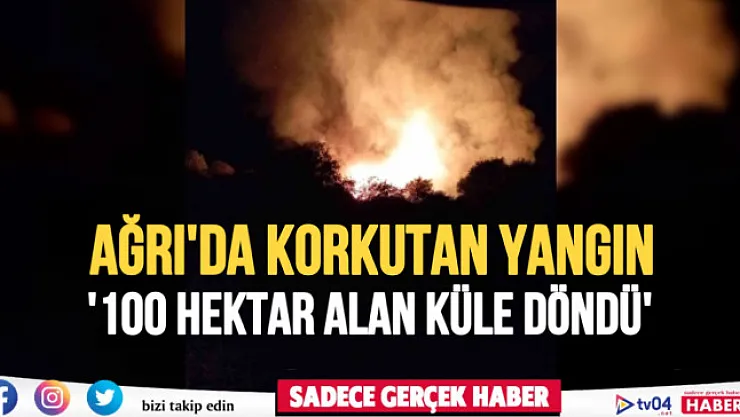 Ağrı'da korkutan yangın! 100 hektar alan küle döndü